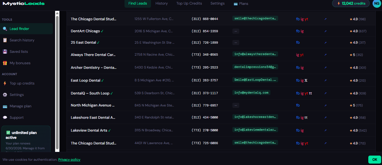 MysticLeads dashboard showing live dentist leads in Chicago with phone numbers, verified emails, social profiles and ratings
